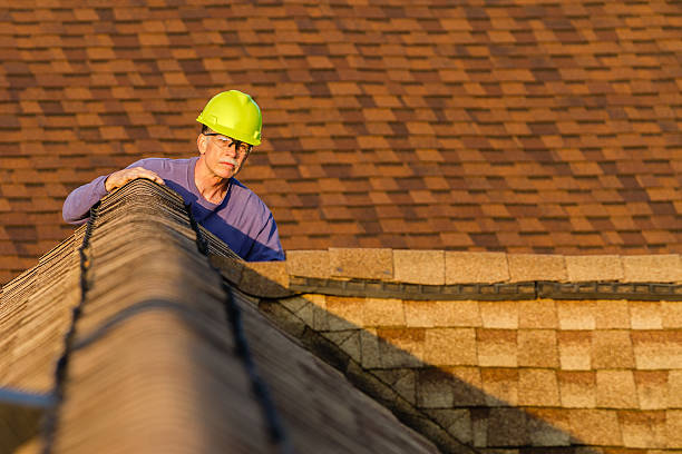 Best Roof Gutter Cleaning  in Woodmere, LA